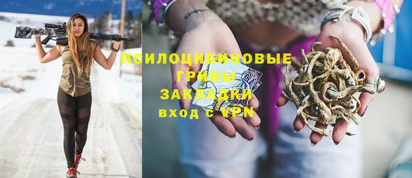 сатива Инсар