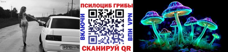 Галлюциногенные грибы Cubensis  Купить закладки  Болотное 