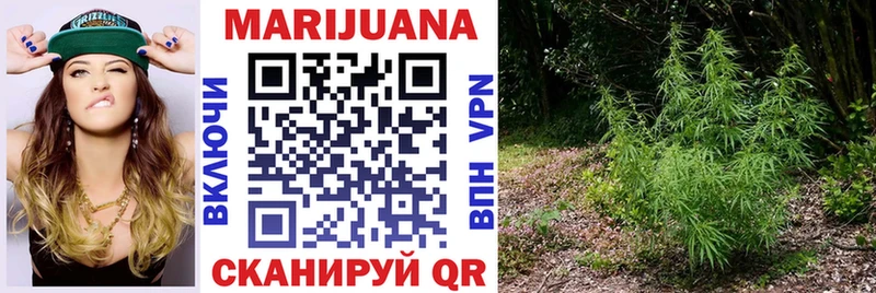 Купить где  Болотное  Шишки марихуана Amnesia 